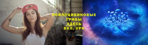 прущая мука Бородино