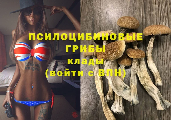 apvp Бронницы