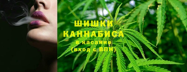 прущая мука Бородино