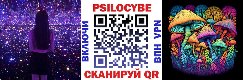 Псилоцибиновые грибы Psilocybe blacksprut вход Дагестанские Огни