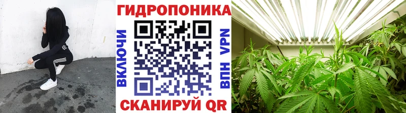 Бошки марихуана SATIVA & INDICA  Дагестанские Огни 